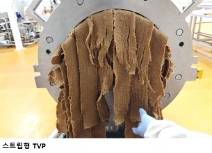 [한국농어민뉴스] 국산 콩 활용 ‘글루텐-프리’ 식물성 단백질 소재 개발