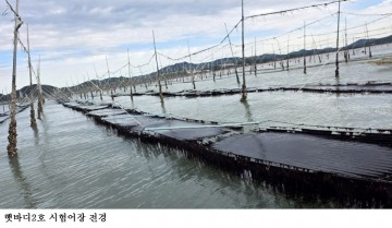 [한국농어민뉴스] ‘잇바디돌김 개량 햇바디2호’ 신품종 등록 출원