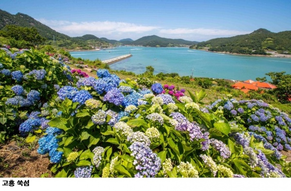 전남 반값여행 5~6월 신청 시작…영암·고흥·해남·영광·완도 여행비 50% 환급