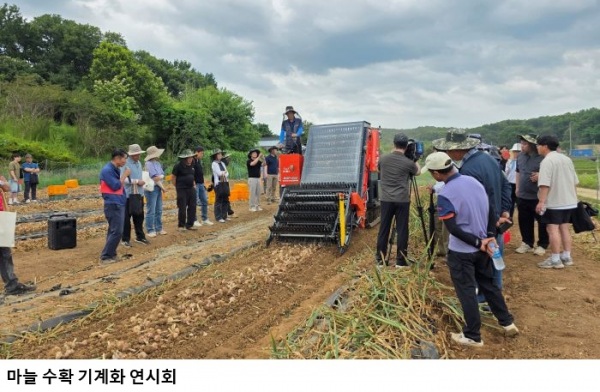 충남도농업기술원, 마늘 수확 기계화 본격 확대…노동력 95% 절감 효과