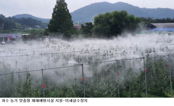 전남광주통합특별시, 폭염·가뭄 대응 과수 재해예방시설 지원 확대