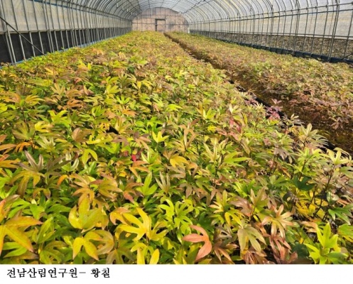 전남산림연구원, 산림청 R&D 4개 과제 선정…국비 104억 확보