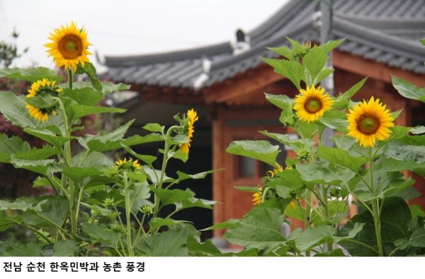 농어촌민박 거주·주택소유 요건 폐지…2027년부터 등록제 전환·바가지요금 제재 강화