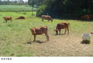 [한국농어민뉴스] 전남도, 올해 축산농가 경영 안정 등에 2천472억 원