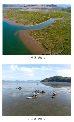 IUCN, ‘한국의 갯벌 2단계’ 유네스코 세계유산 확대 승인 권고…여수·고흥·무안·서산 갯벌 추가 등재 청신호