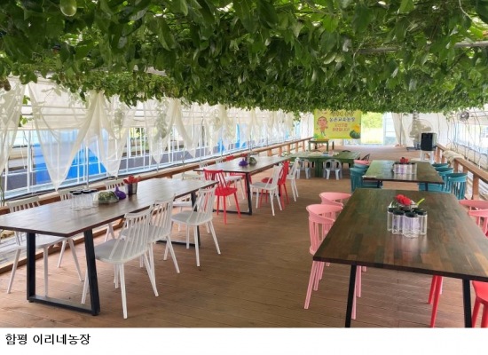 여름방학 농촌체험 어디 갈까…전남광주농기원, 순천·나주·무안·함평 교육농장 6곳 추천