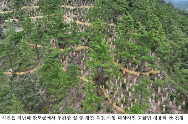 완도군, 조림 사업 착수 ‘탄소흡수원 확대한다!’
