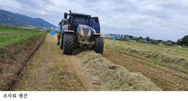 전남 조사료 생산 75만톤 전망…전남도 1,029억 투입해 축산농가 사료비 안정