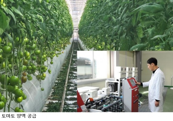 전남광주농기원, 물·비료 재활용하는 완전순환 수경재배 기술 개발