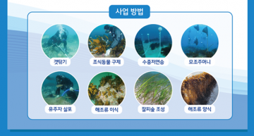 [한국농어민뉴스] 바다숲 탄소거래 시범사업 추진