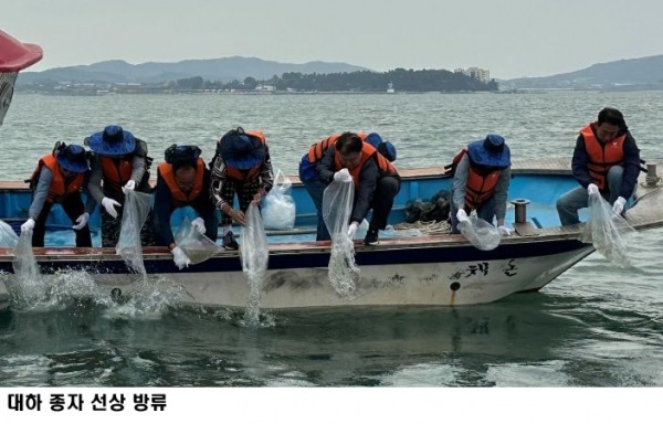 전남도, 함평 해역 어린 대하 100만 마리 방류…수산자원 회복·어업인 소득 증대 기대
