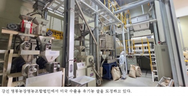 강진군, 강진쌀 해외 판로 확대…미국·호주·필리핀 수출 기반 다진다