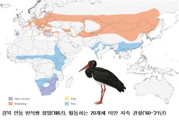 국립생태원, 멸종위기 먹황새 복원 본격화…몽골 개체 2027년 국내 도입 추진