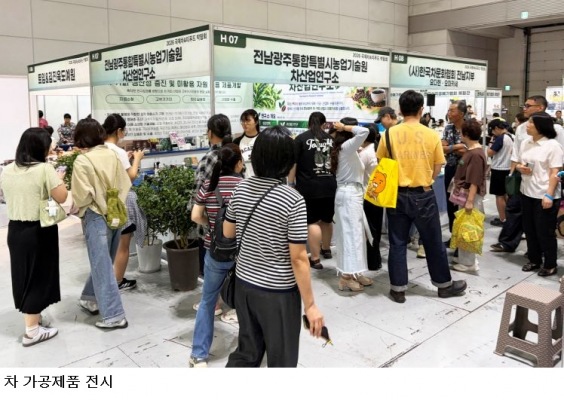 전남광주농기원, 차꽃·종자도 산업자원으로...차 활용 범위 넓힌다