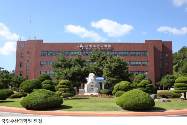 “올봄 서해 꽃게 풍어 기대”…어획량 최대 50% 증가 전망