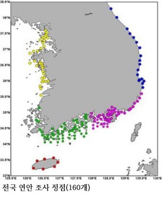 연안 식물플랑크톤 감소 심화…해양 생태계 변화 가속